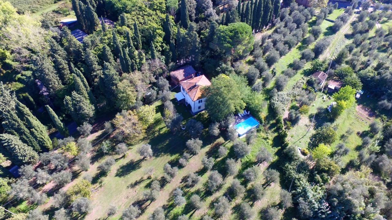 Tenuta Di Ghizzano Resort Eksteriør bilde